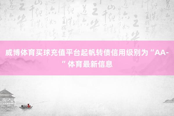 威博体育买球充值平台起帆转债信用级别为“AA-”体育最新信息