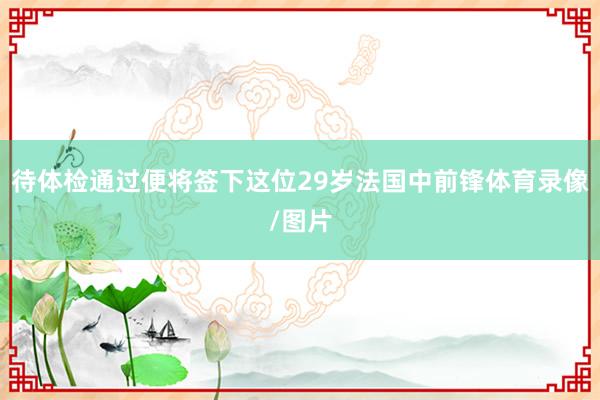 待体检通过便将签下这位29岁法国中前锋体育录像/图片