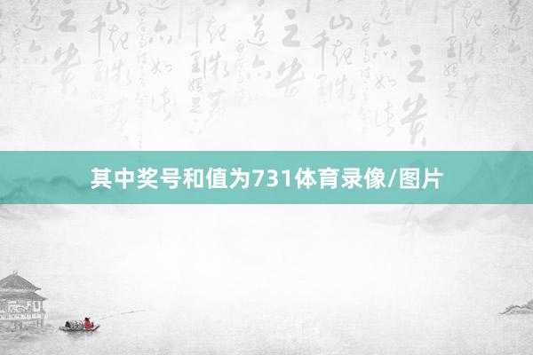 其中奖号和值为731体育录像/图片