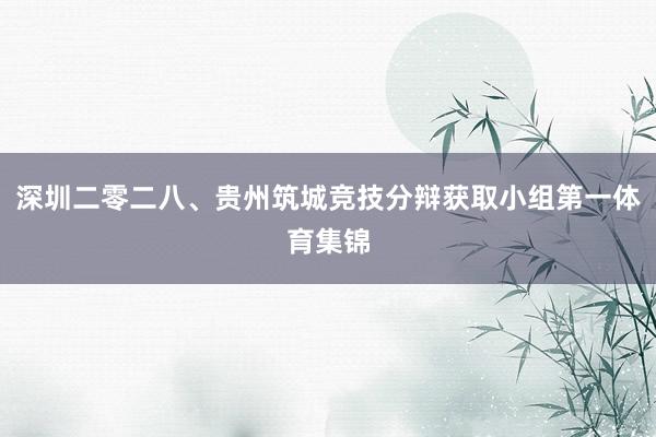 深圳二零二八、贵州筑城竞技分辩获取小组第一体育集锦