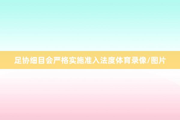 足协细目会严格实施准入法度体育录像/图片